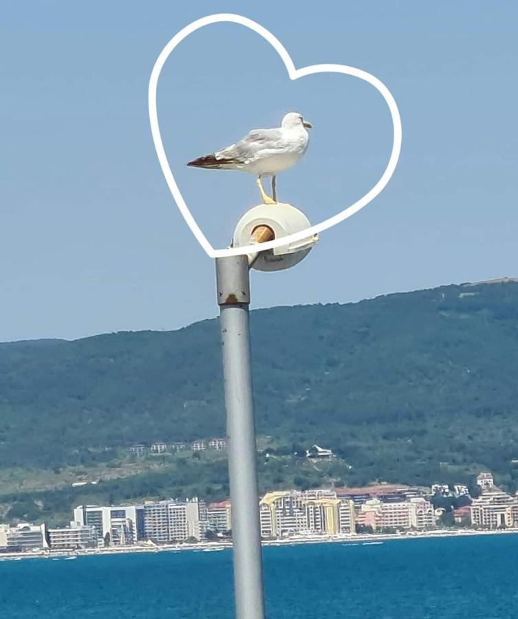 Sea View Private Studio Paradiso B 508 Nesebar Exteriör bild
